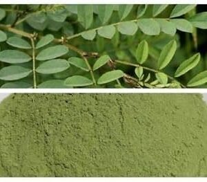 Avali Powder Bulk – Ayurvedic Gut Health