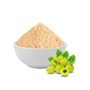Bulk Amla Powder from India