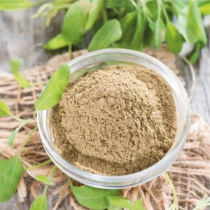 Bhringraj Powder for Hair Growth
